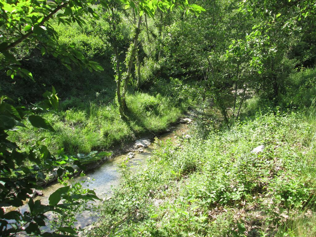 Le Chambron Διαμέρισμα Condorcet Εξωτερικό φωτογραφία